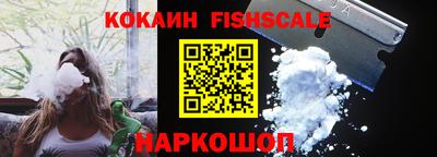 крисы Нальчик