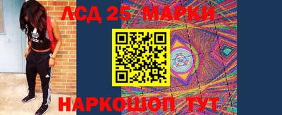 крисы Нальчик