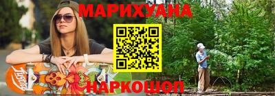 крисы Нальчик