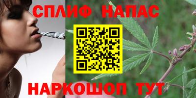 крисы Нальчик