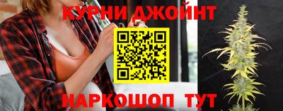 крисы Нальчик