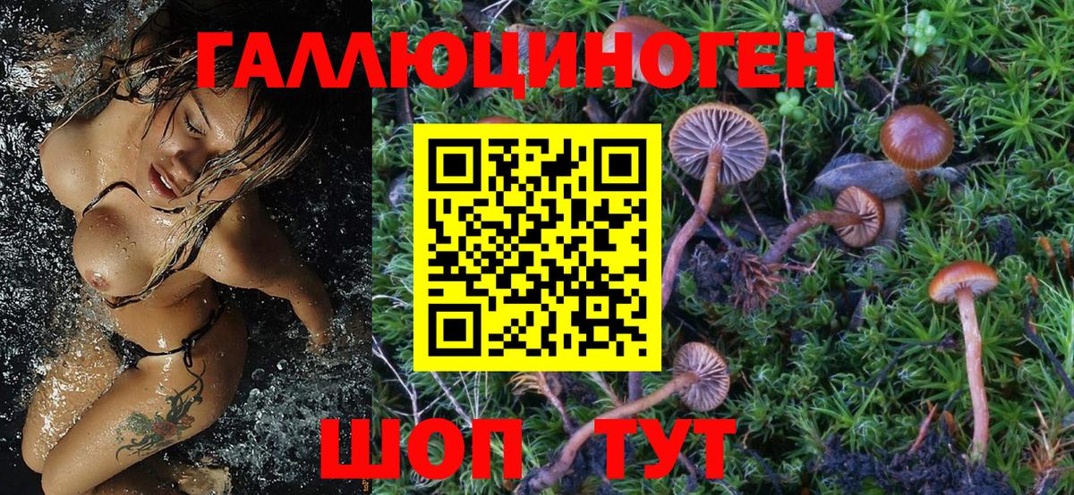 Псилоцибиновые грибы ЛСД Боровичи